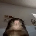 Аватар gryazukal