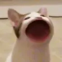 jordan_ie