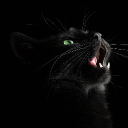 avatar 33 | Roman_Gupalowich