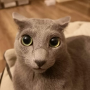 Discord Avatar