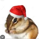 theboogieman1732 avatar