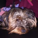 _misscoochie