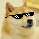 dogedetective69