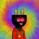 plug.ech