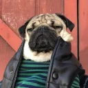 Аватар dima_butko