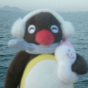 avatar سيــنشي الـعاطل