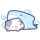 sleepysocks