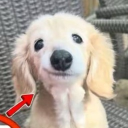 avatar UNKN0WN_G4M1NG