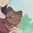 sakakiprodigy