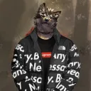 a_wolf
