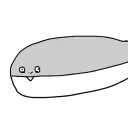 .rokieru