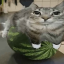 avatar ШИЗЗЛЕ 🍍