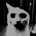 avatar ШИЗЗЛЕ 🍍