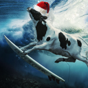 avatar GigaMegaSuperEpicCoolProGamerMan