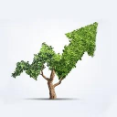 avatar Reddit's Investing