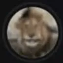 Аватар timurmartinuk