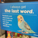 avatar ༄ | ѕηαp-