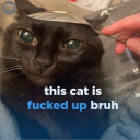 avatar Bread #Amigos