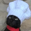detoxv84