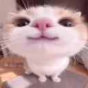 oflori