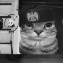 rater666