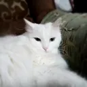 whatafuckyou_