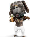 wild_wild_dogs