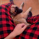 jota_2.4