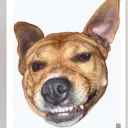 boulettee avatar