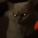 _soulxd