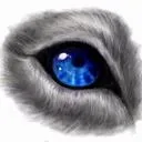 wolfeyerandom