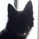 avatar ♡ 𝙻𝙾𝚁𝙽 ♡