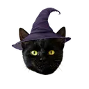 ozzyosbornebiggestfan