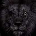 avatar Mr Anti himself