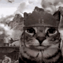 thereallastcat