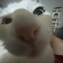 avatar ! 'Ｖｉｎｃｅｎｚｏ☁