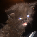 sonanddark