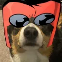 corgoboi