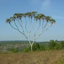 binarytreetraversal