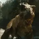 darkosaure66