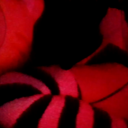 avatar 𝓓𝓪𝓷𝓲