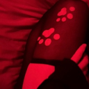 avatar 𝓓𝓪𝓷𝓲 🐾