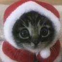 avatar I am still ROSER  :3