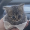 avatar I am still ROSER  :3