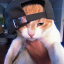 avatar limited 7 days