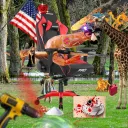 thisisnotabaldcat avatar