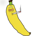 fruitking9383
