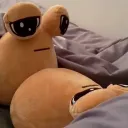 _sorbi