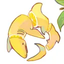 zenos.__.
