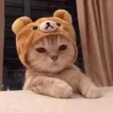 otfh